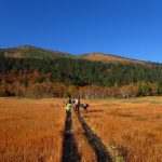 紅葉の至仏山！