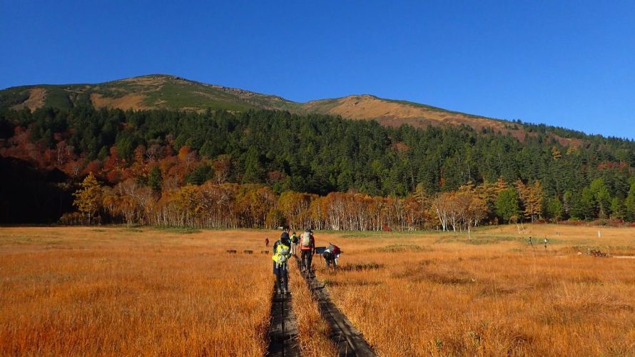 紅葉の至仏山!