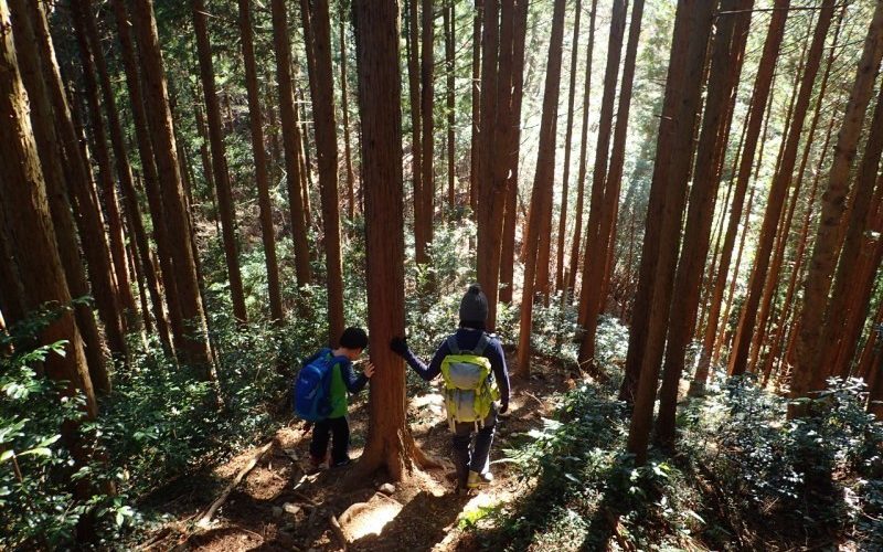 馬頭刈山クリスマス