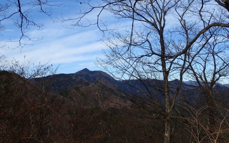 ３月の大岳山