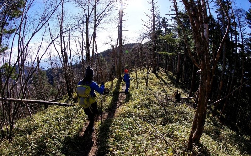 牛奥ノ雁ヶ腹摺山