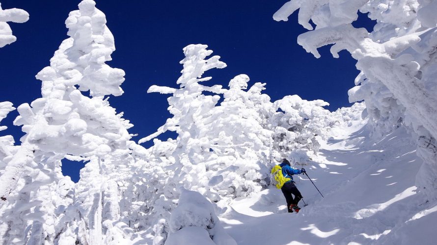 モフモフ樹氷の蓼科山