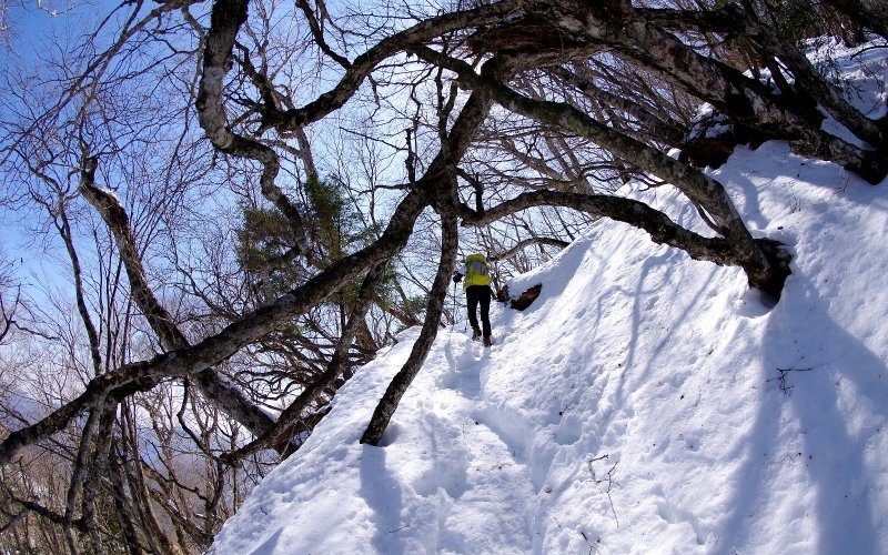 鷹ノ巣山と稲村岩