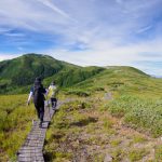 夏の北アルプス薬師岳！