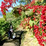 怖かった〜。。。岩殿山〜稚児落とし！！！　