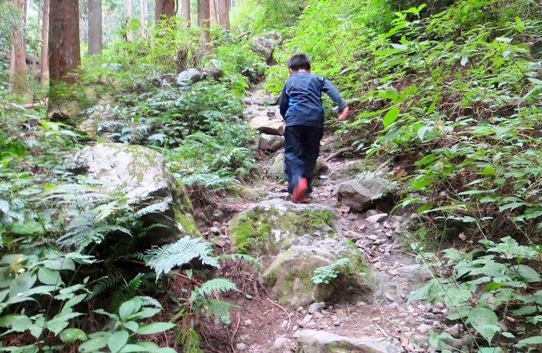 高水三山(高水山、岩茸石山、惣岳山)へ。
