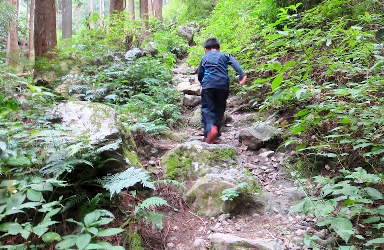 高水三山（高水山、岩茸石山、惣岳山）へ。