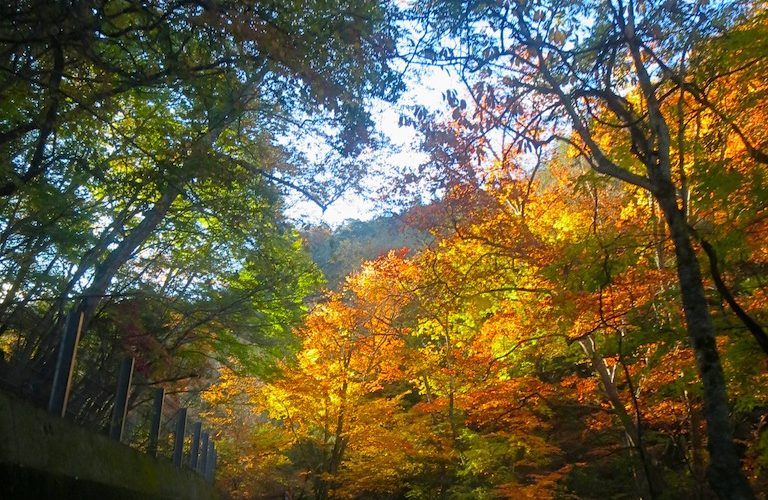 紅葉の瑞牆山に登ってきました!