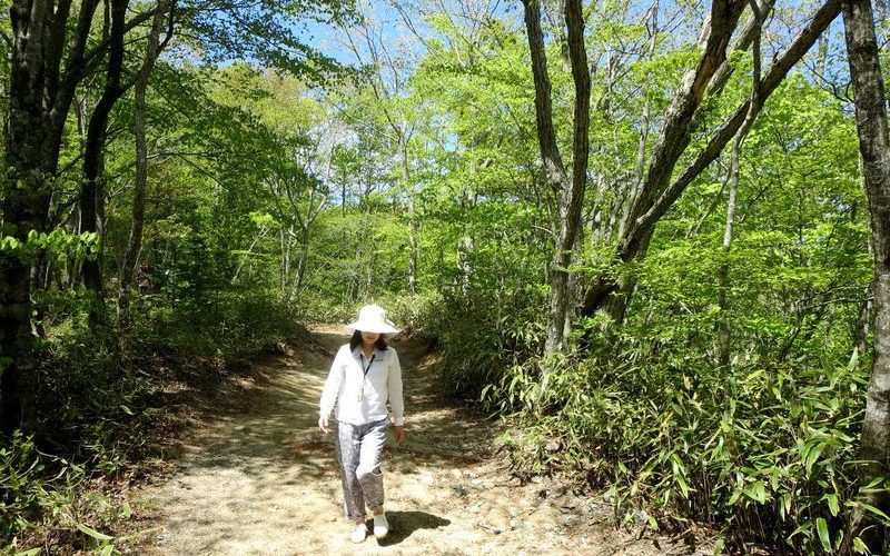 山中湖畔にある石割山。