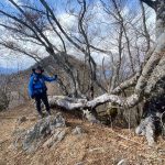 雪頭ヶ岳と鬼ヶ岳