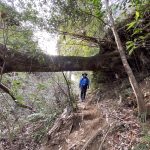 雨巻山