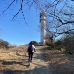 三浦半島の大楠山